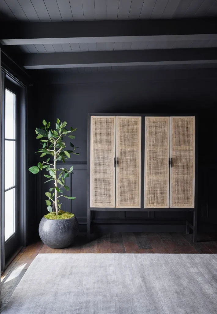 BOHO CABINET - CabinetVignette CLOSED 4d5d2b37 4b2b 8a59 ac9a49fb28ee scaled